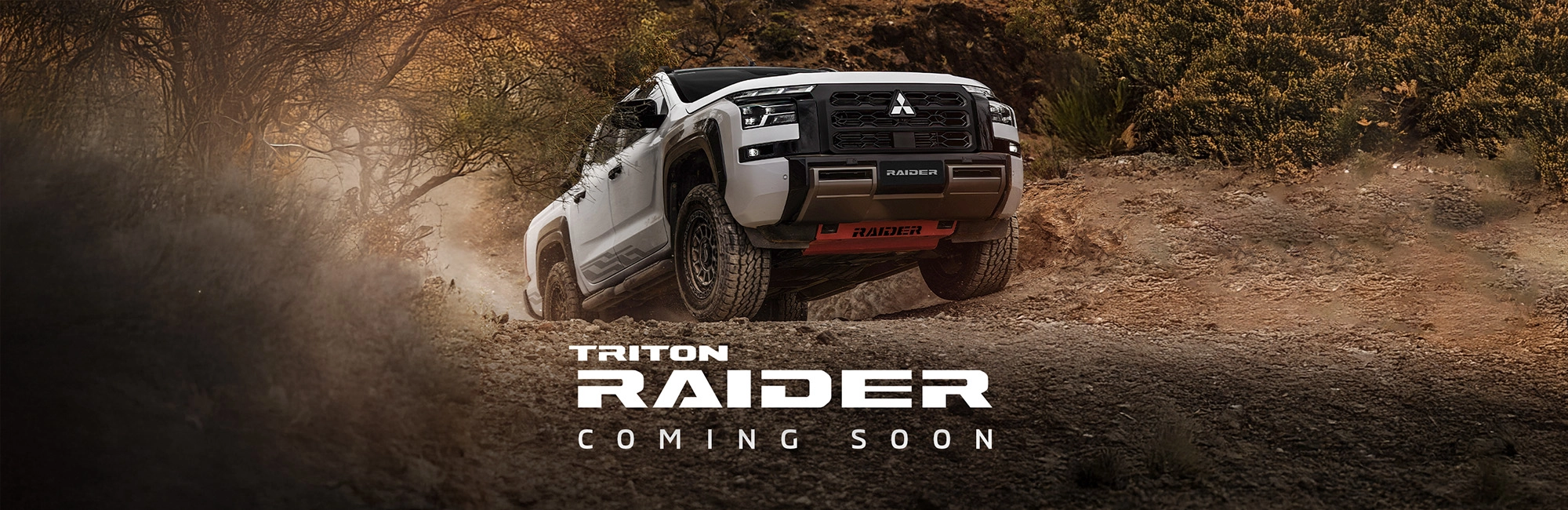 Triton Raider 2000x650